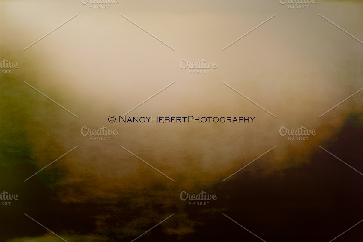 01 Fine Art Digital Texture/Overlay, a Texture Graphic by Nancy Hebert Photography