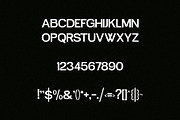 Passenger - Unique Sans Serif, a Sans Serif Font by Mikhail Kitsune (Thumbnail 7 of 8)