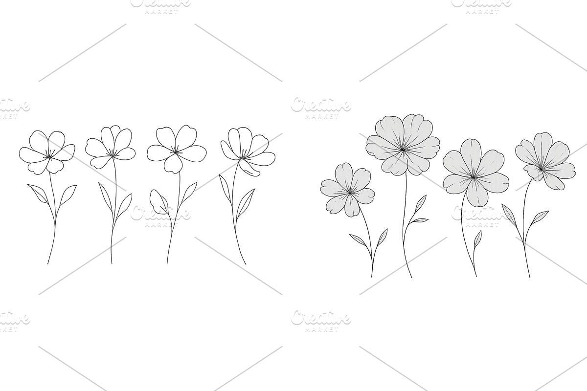 Detailed line drawing of flowers in, an Illustration by ZinetroN