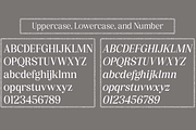 Pujarelah - Serif Family Font, a Serif Font by Differentialtype (Thumbnail 8 of 13)