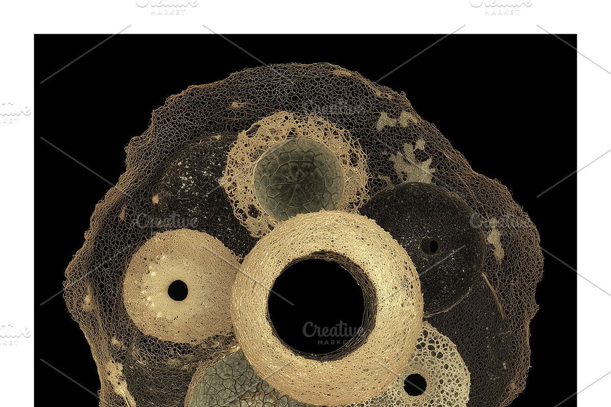 Hobo Co. Bio Textured Illustrations, a Texture Illustration by milatovar (Photo 4 of 15)