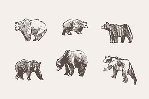 Set Of Sketches Of Walking Bears