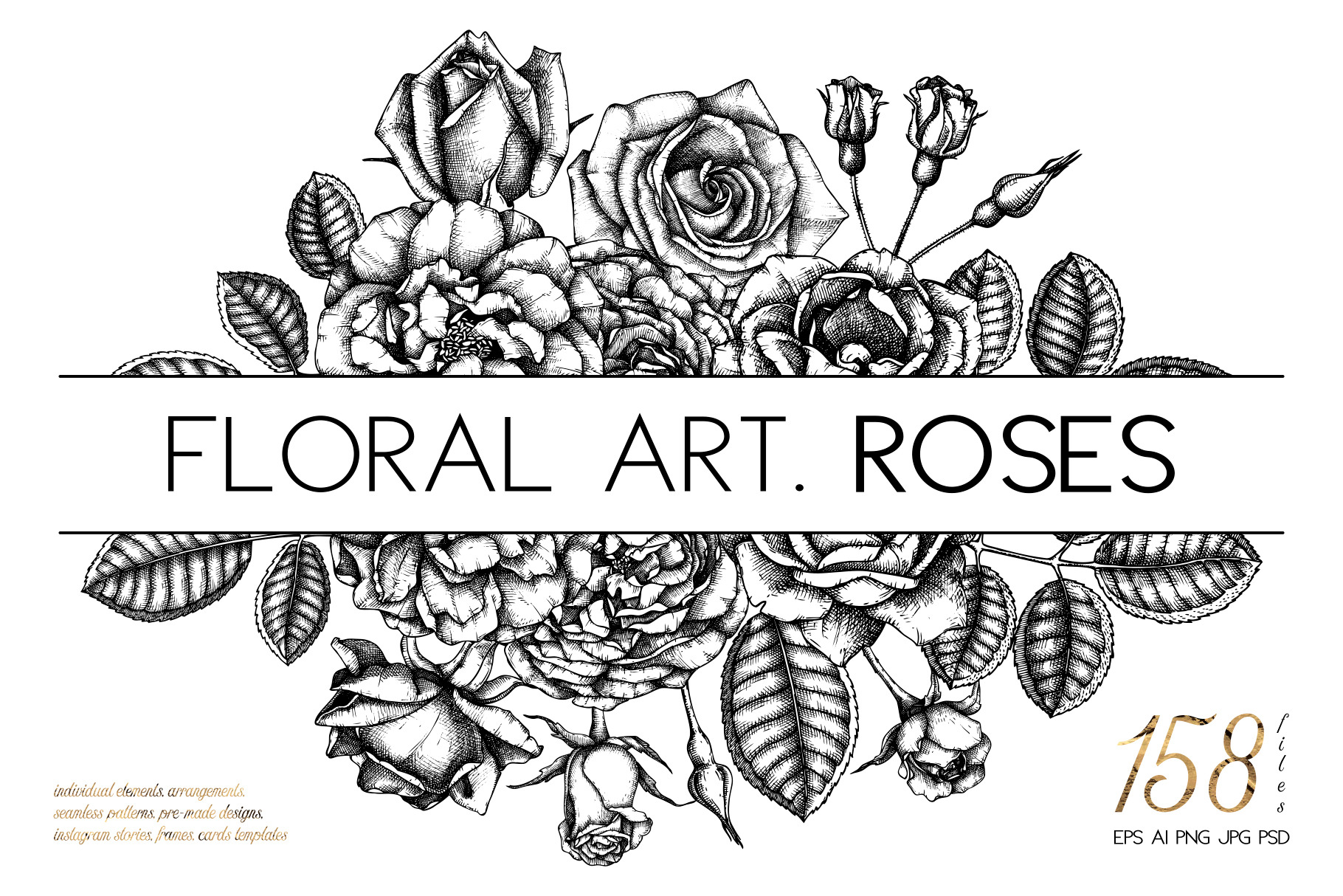 Hand-Drawn Roses Collection