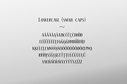 The Racoon Quest, a Serif Font by Roland Huse Design (Thumbnail 5 of 7)