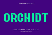 Orchidt Tech Sans Font, a Sans Serif Font by Artiveko (Thumbnail 1 of 7)