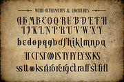 Branodict - Modern Display Serif, a Serif Font by Shakira Studio (Thumbnail 10 of 10)