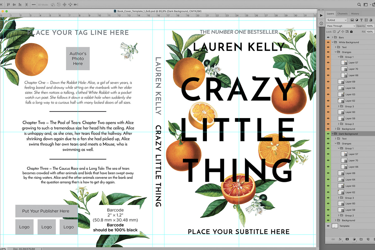 Customizable Book Cover Template 01, a Brochure Template by Olga Begak Art & Design (Photo 5 of 9)