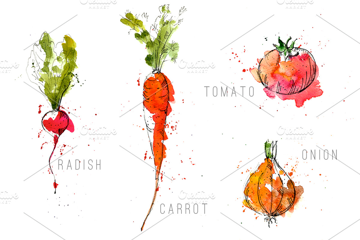 Oh My Veggies! | Watercolor set, a Food Illustration by Blue Ink Studio (Photo 2 of 3)