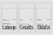 403 Mesapholic Modern Serif, a Serif Font by 403 Type Foundry (Thumbnail 7 of 16)