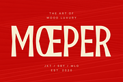 Pamelo - Bold Sans Serif Font, a Sans Serif Font by Pekotype (Thumbnail 7 of 15)