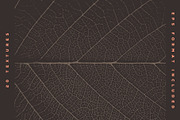 Nature Textures Volume One, a Texture Graphic by Skout Supply Co. (Thumbnail 7 of 8)