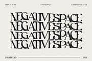 White Space, a Script Font by din-studio.com (Thumbnail 5 of 10)