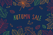 Hand drawn leaves of different trees, a Decorative Illustration by Tkoko vectors & patterns (Thumbnail 10 of 14)