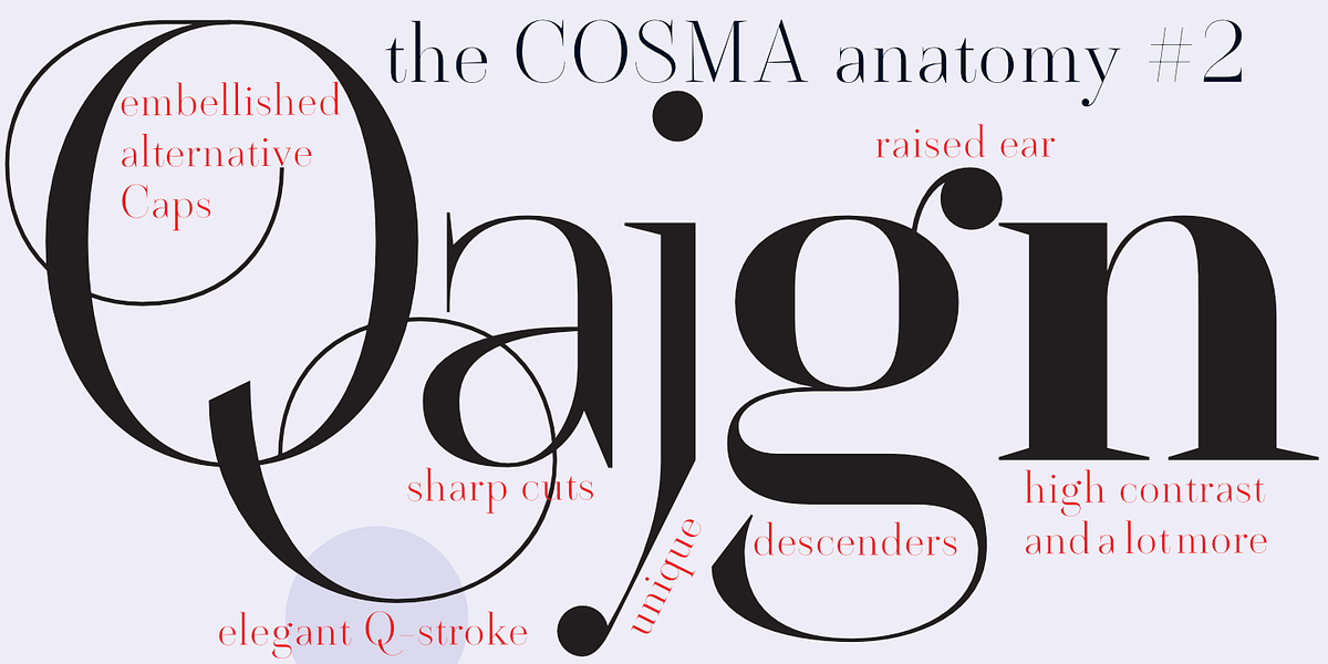 Cosma, a Serif Font by Wiescher-Design (Photo 8 of 11)