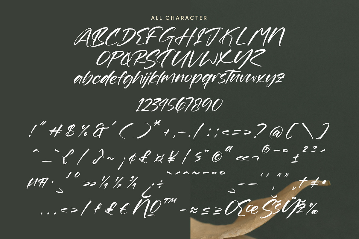 Goldeny Battiely Modern Brush Font, a Handwritten Font by operatype.co (Photo 10 of 10)