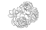 Outlined Rose Bouquets, an Object Graphic by VictoriaKStudio (Thumbnail 3 of 4)
