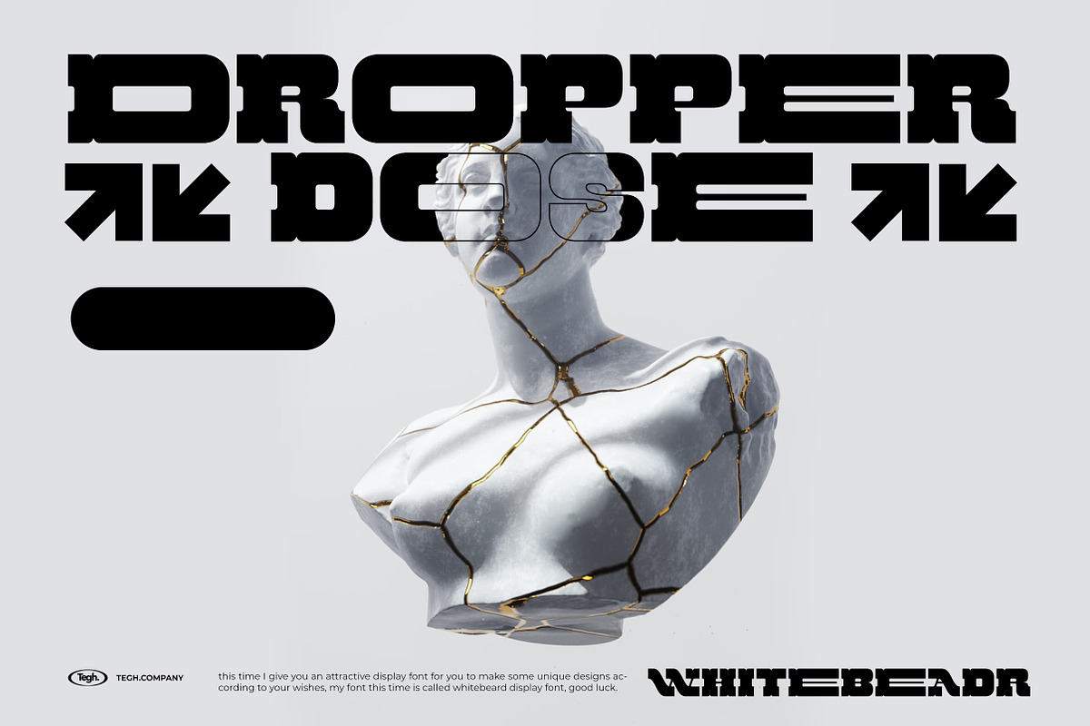 WHITEBEARD DISPLAY, a Font by Tegh co. (Photo 9 of 12)