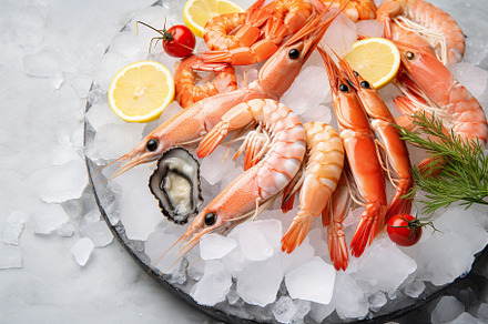 Shrimps with ice cubes on white background, a Food & Drink Photo by AlyaAnd