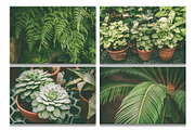 Botanical background bundle 20 jpg, a Nature Photo by WildStrawberry Magic (Thumbnail 5 of 6)