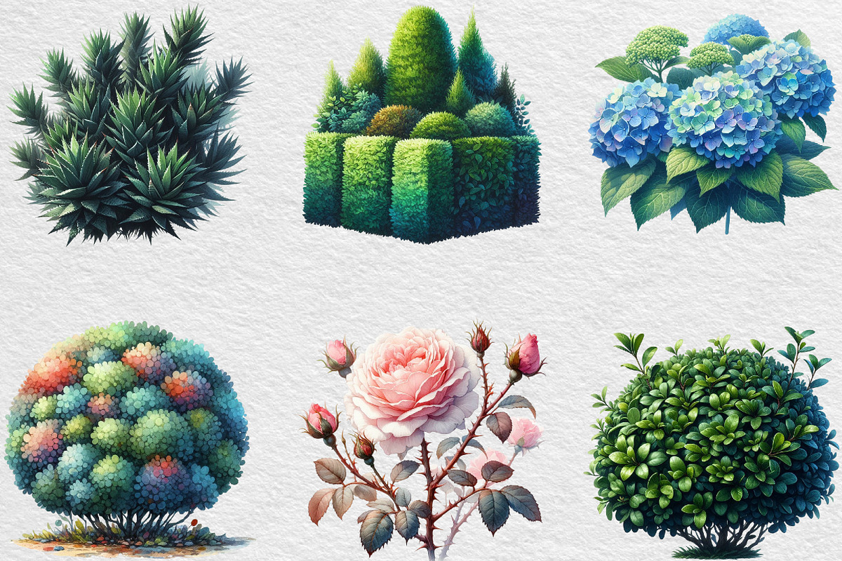 Watercolor Bushes Clipart Sublimatio, an Illustration by Black Bird Studio (Photo 2 of 6)