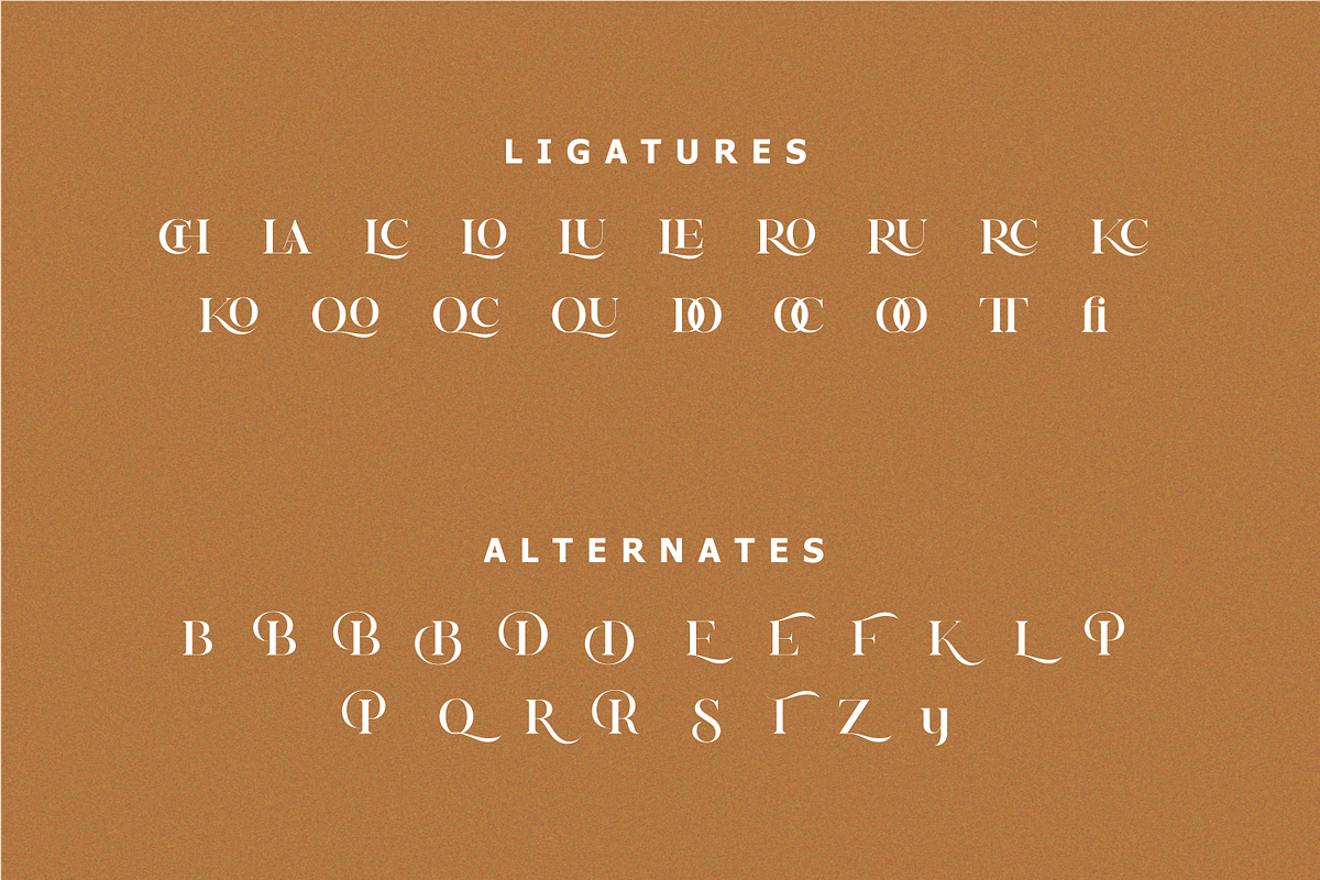 Deroma Serif, a Serif Font by Yahya Type (Photo 21 of 22)