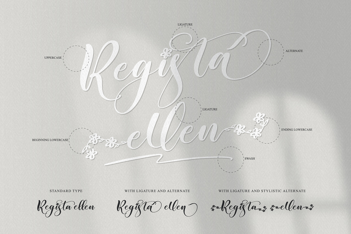 Regista - beautiful script font, a Script Font by ribethstudio (Photo 2 of 12)