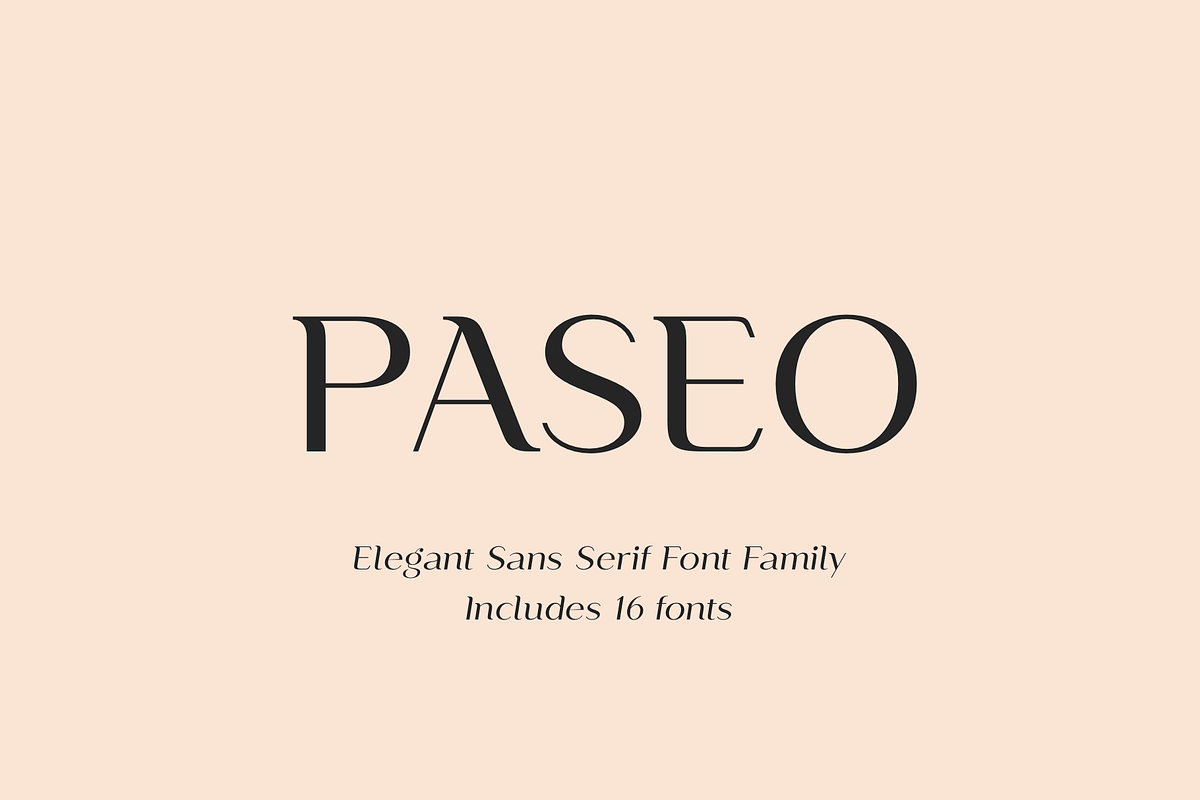 Paseo, a Sans Serif Font by Larin Type Co. (Photo 1 of 15)
