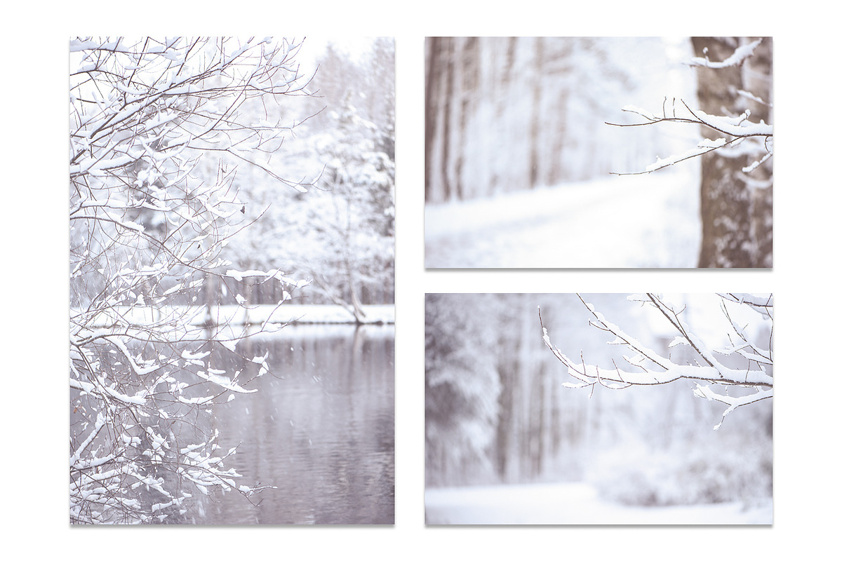 Winter Blurred background, a Nature Photo by WildStrawberry Magic (Photo 5 of 9)