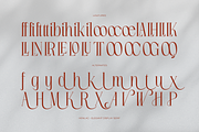 Henilac | Elegant Display Font, a Serif Font by gracetype_studio (Thumbnail 12 of 12)