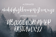 Warrenson Script Font, a Script Font by Creativeqube Design (Thumbnail 15 of 19)