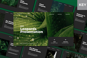 Leopards Keynote Template