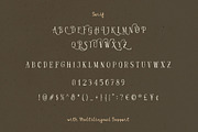 Locked Whisper Organic Handwritten, a Handwritten Font by Letterhend Studio (Thumbnail 8 of 9)