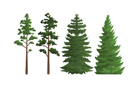 set trees nature, an Illustration by studiogstock