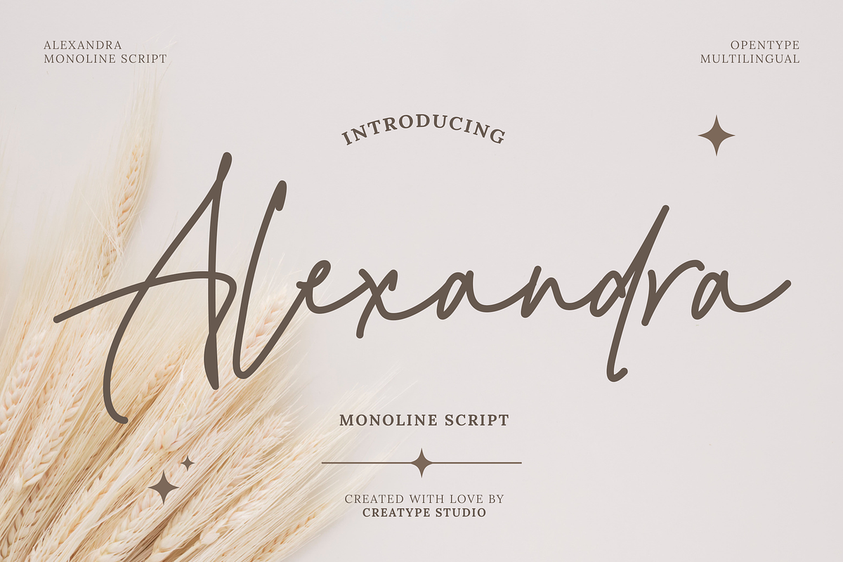 Alexandra Monoline Script, a Script Font by Creatype Studio (Photo 1 of 11)