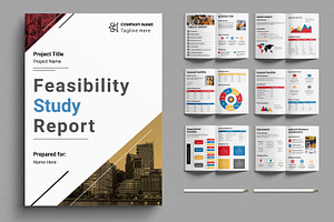 Feasibility Study Report