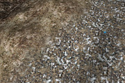 AUTUMN AND WINTER TEXTURE PACK, a Textures & Material 3D Model by Beatheart Creative Studio (Thumbnail 44 of 58)