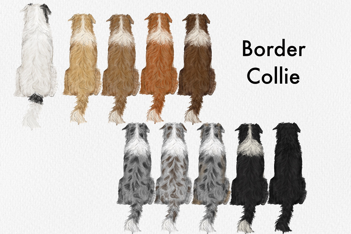Watercolor Dog Breeds Clipart., an Animal Illustration by ColorfulPT (Photo 3 of 8)