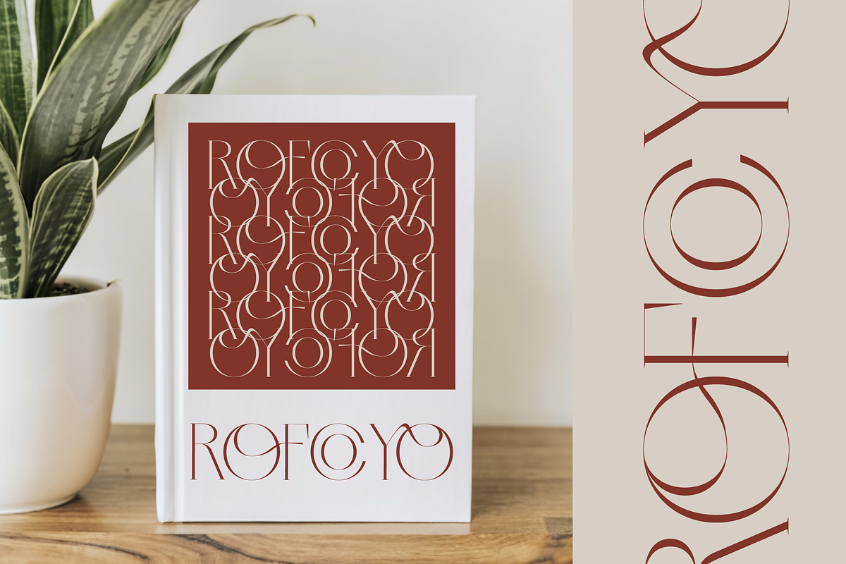 Qasnors Modern Display Serif, a Serif Font by timelesstype.co (Photo 9 of 20)