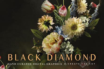 Black Diamond - Digital Graphics