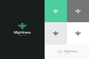 Minimal Eagle Pictogram Logo, a Branding & Logo Template by Dipak Dheer (Thumbnail 2 of 6)