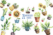 Funny Plants. Watercolor, a Decorative Illustration by talloshau's illustrations (Thumbnail 5 of 9)