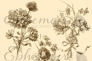 Ribbon Adorned Bouquet Brushes Set 1