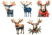 Cute Christmas Moose Sublimation, an Illustration by Craft Nest (Thumbnail 4 of 7)
