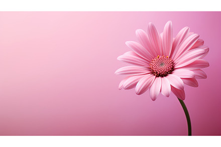spring pink flower background close, a Nature Photo by pikepicture