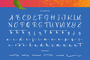 Delights Fruity Bold Brush Font, a Sans Serif Font by Letterena Studios Script (Thumbnail 19 of 20)