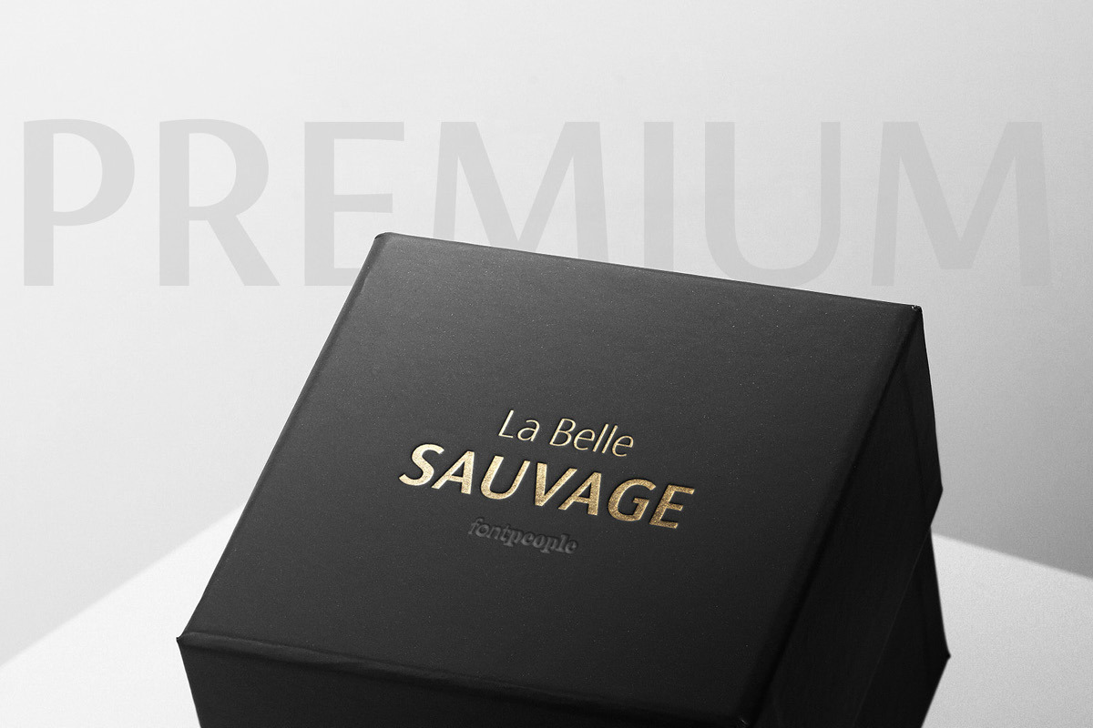 Cromlin font family by FontPeople, a Sans Serif Font by FontPeople (Photo 3 of 6)