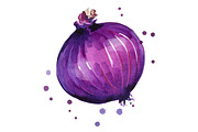 Set of purple foods, watercolor, a Food Illustration by Kamenuka (Thumbnail 4 of 4)