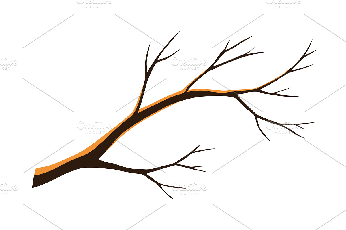 Watercolor hand drawn tree, an Object Illustration by Things for designers