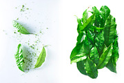 Green tea and Matcha tea, an Object Graphic by Pullia (Thumbnail 6 of 12)