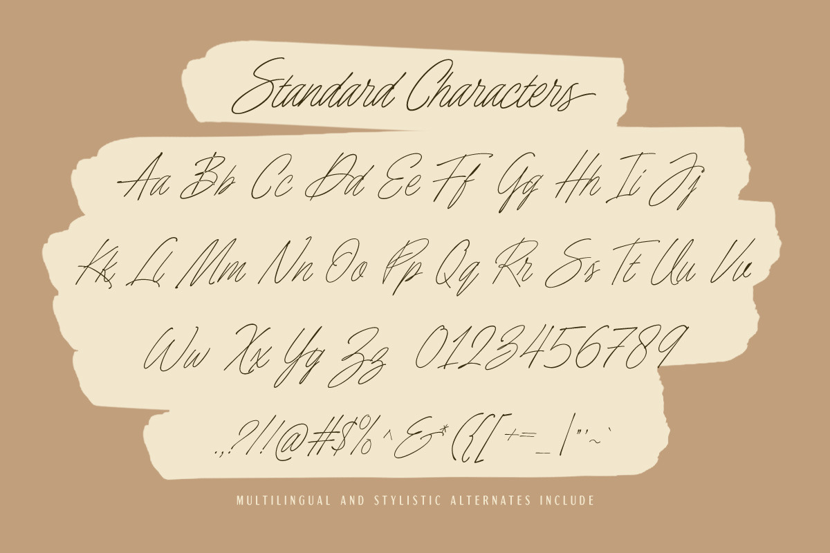 Astonilac – Monoline Script, a Script Font by Letterhend Studio (Photo 8 of 9)